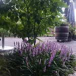 Theetuin Onder De Pannen Bed & Breakfast