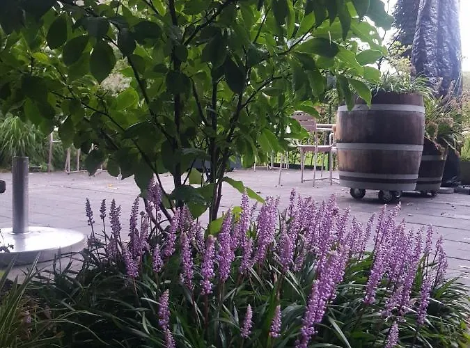 Theetuin Onder De Pannen Отель типа 