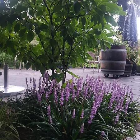 Theetuin Onder De Pannen Bed and Breakfast